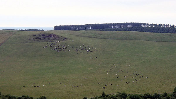 開陽台からの景色